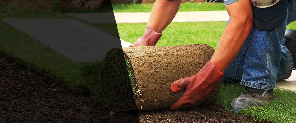 Mississippi Landscapers